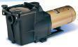 Hayward Inground Super Pump