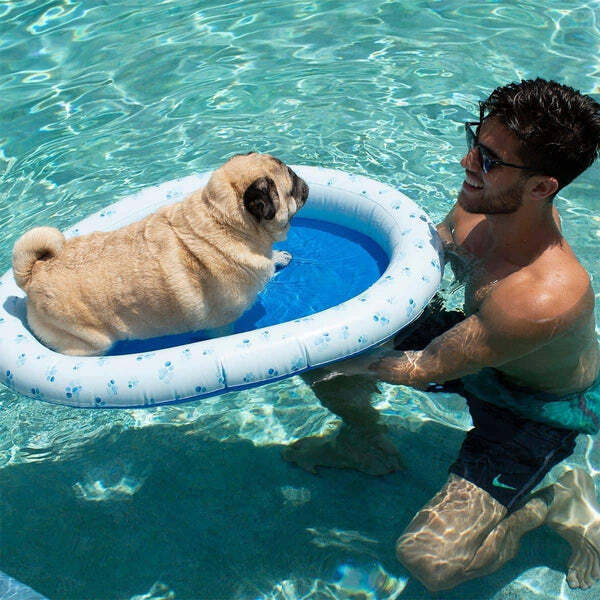 PET FLOAT - VARIOUS SIZES AVAILABLE