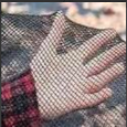 Mesh Leaf Nets