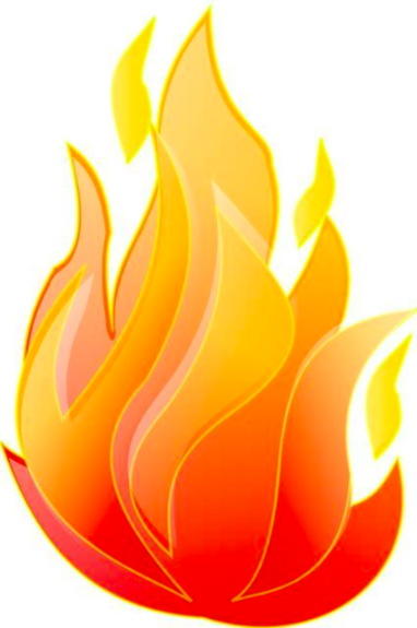 Raypak Heaters Above Ground Natural Gas or Propane - Fuel Type
