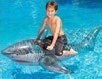 72" POOL SHARK