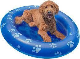 PET FLOAT - VARIOUS SIZES AVAILABLE