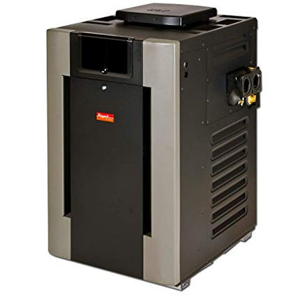 Raypak Heaters Above Ground Natural Gas or Propane